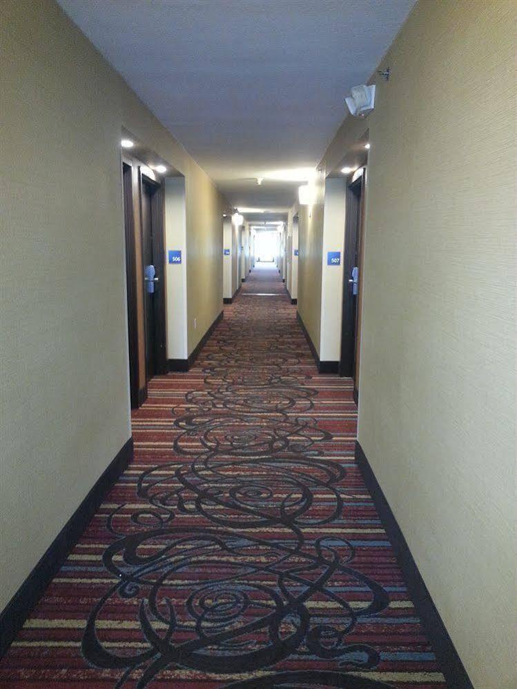 Holiday Inn Express Fredericksburg - Southpoint By Ihg Εξωτερικό φωτογραφία